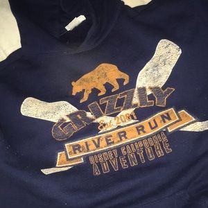 ISO Disney California Adventure Hoodie DO NOT BUY